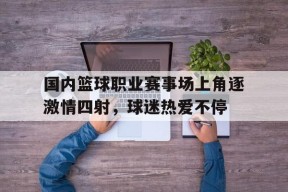 九州体育入口-国内篮球职业赛事场上角逐激情四射，球迷热爱不停的简单介绍