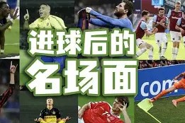 九州体育登录-多特蒙德球员庆祝进球，功成身退展望未来(多特蒙德球队队员)