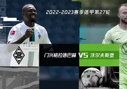 包含沙尔克欲在客场击败沃尔夫斯堡的词条